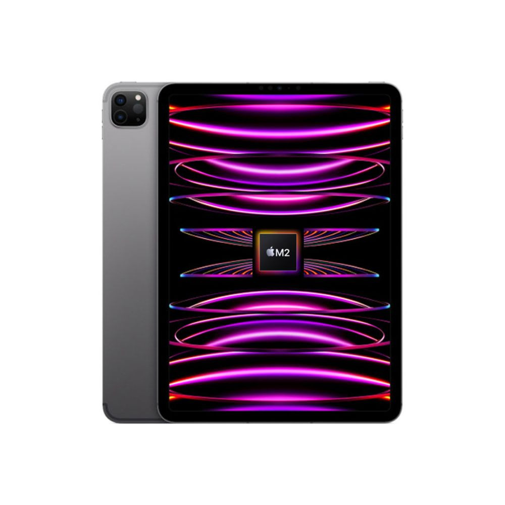 Apple iPad Pro 11 inc M2 (2022)