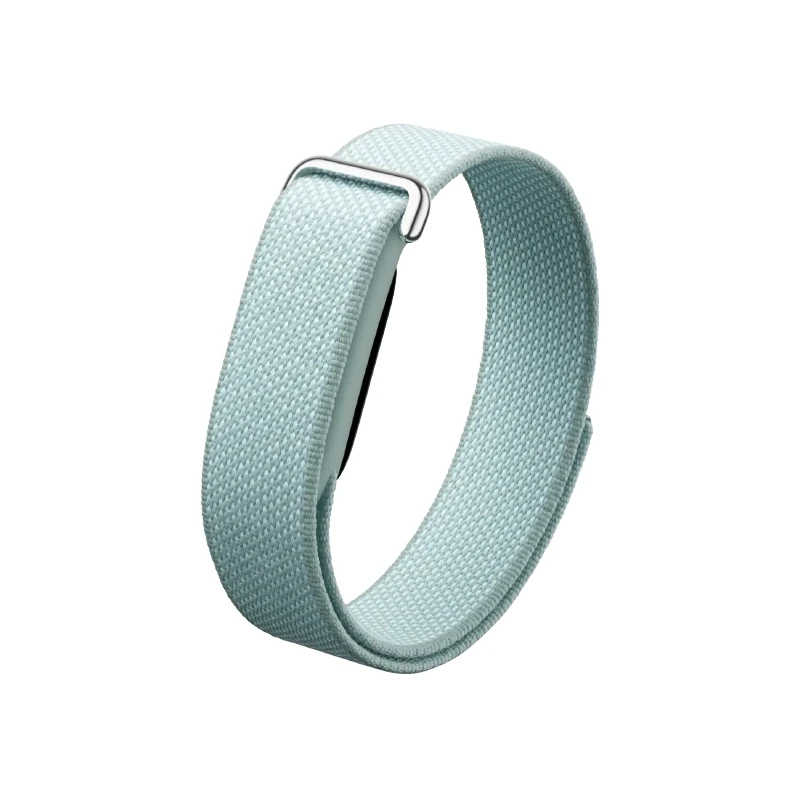 Google Fitbit Air