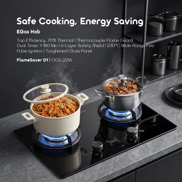 FlameSaver D1 Efficient Safe EGas Hob price in Bangladesh